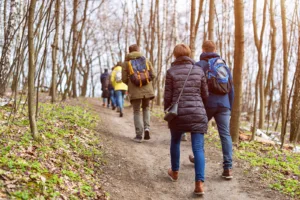 Group of friends walking with backpacks in forest. Group of friends walking with backpacks in forest.