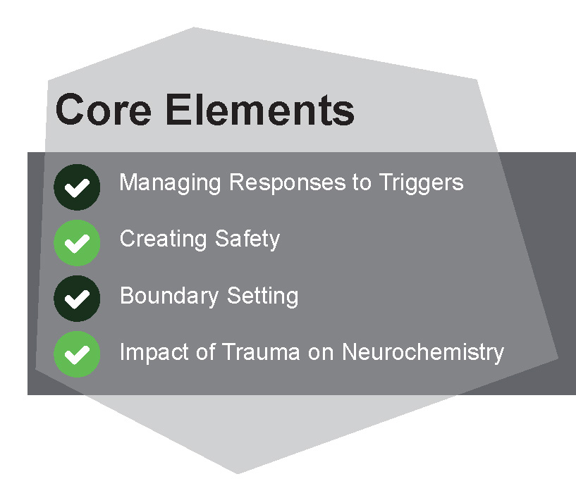 Trauma IOP Core Elements