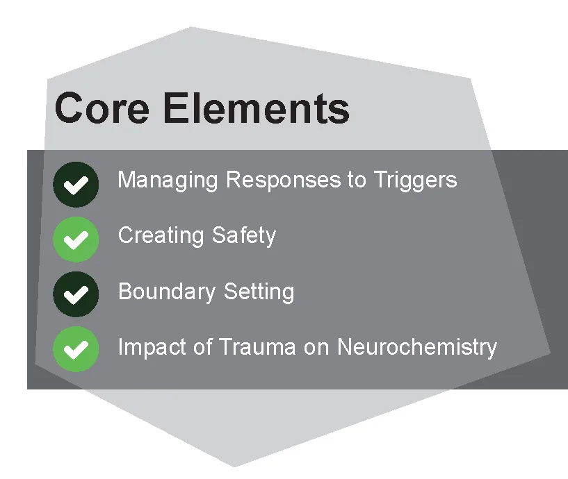Core Elements Trauma IOP Core Elements
