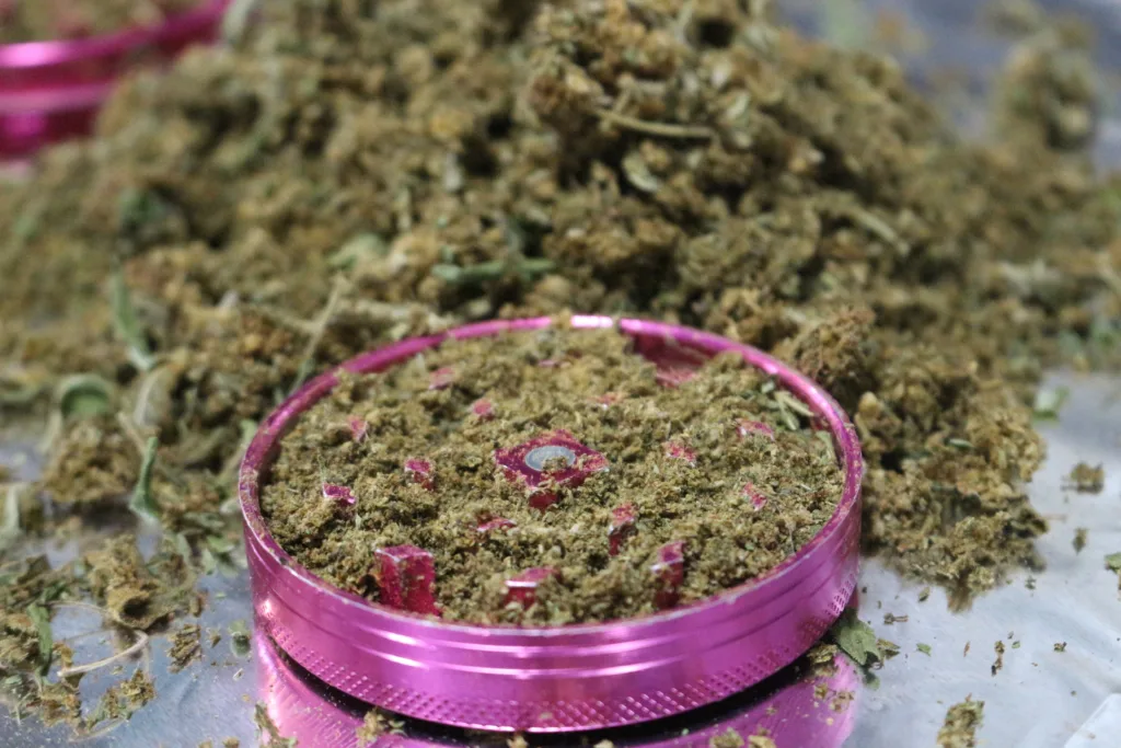 A closeup of a pile of dried cannabis flowers and leaves in a grinder
