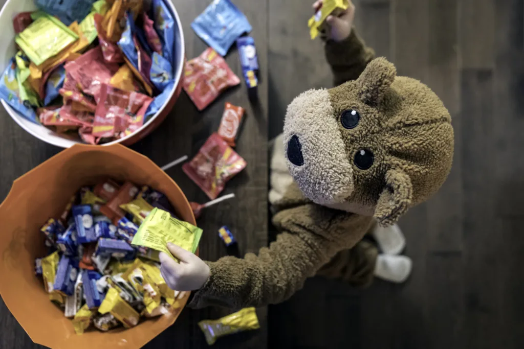 Cute Baby Boy inside Bear Costume Eating or Grabbing Candies at Halloween